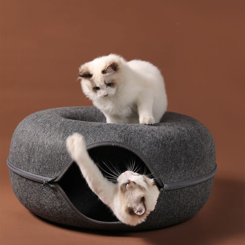 Four Seasons Cat Nest